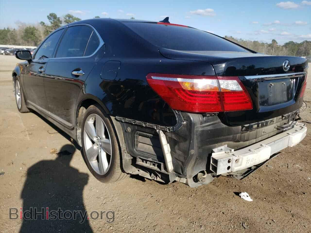 2011 LEXUS LS460 - VIN: JTHGL5EF0B5043693 - Фото 3