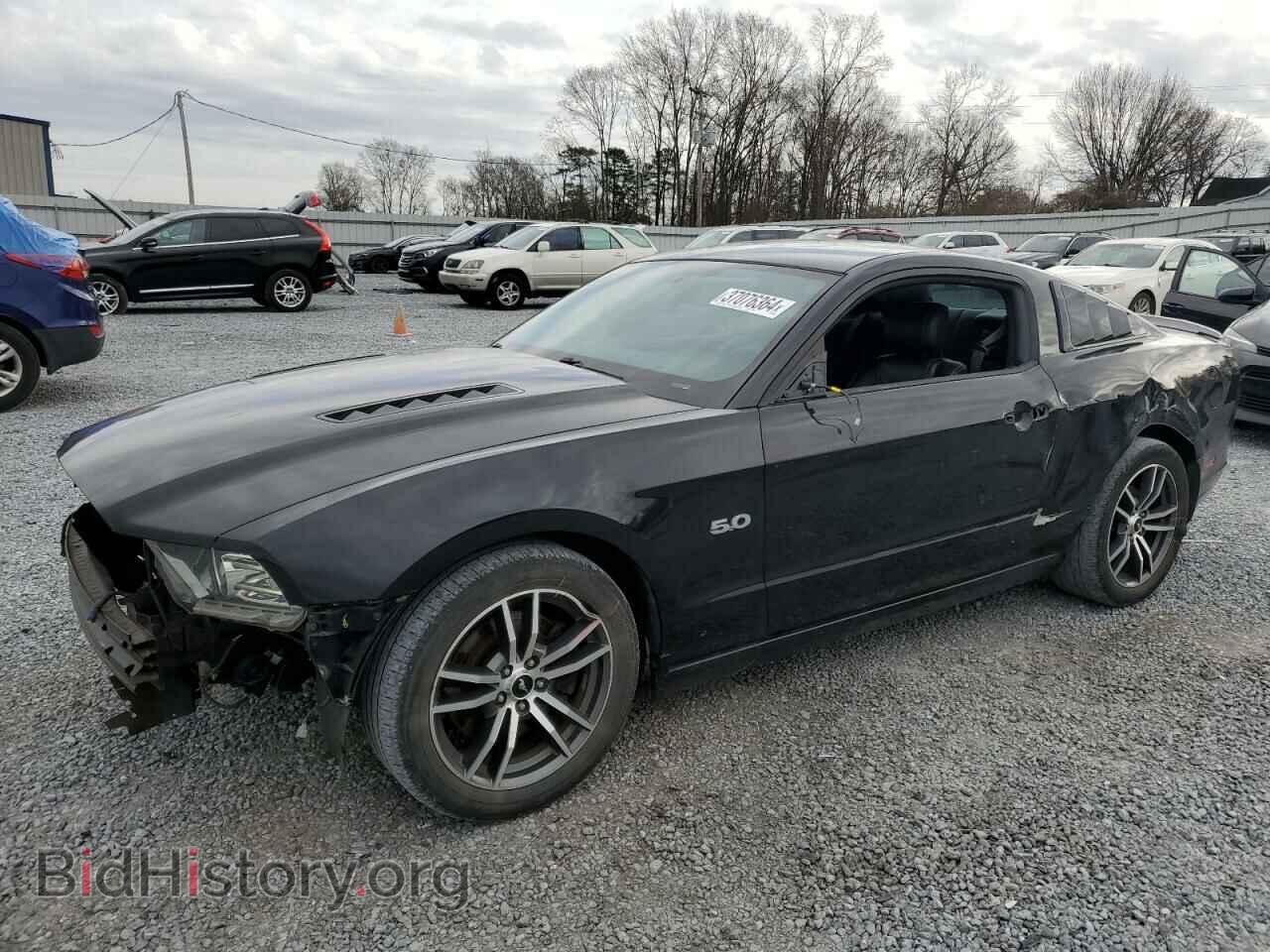 Фотография 1ZVBP8CF8D5233181 - FORD MUSTANG 2013