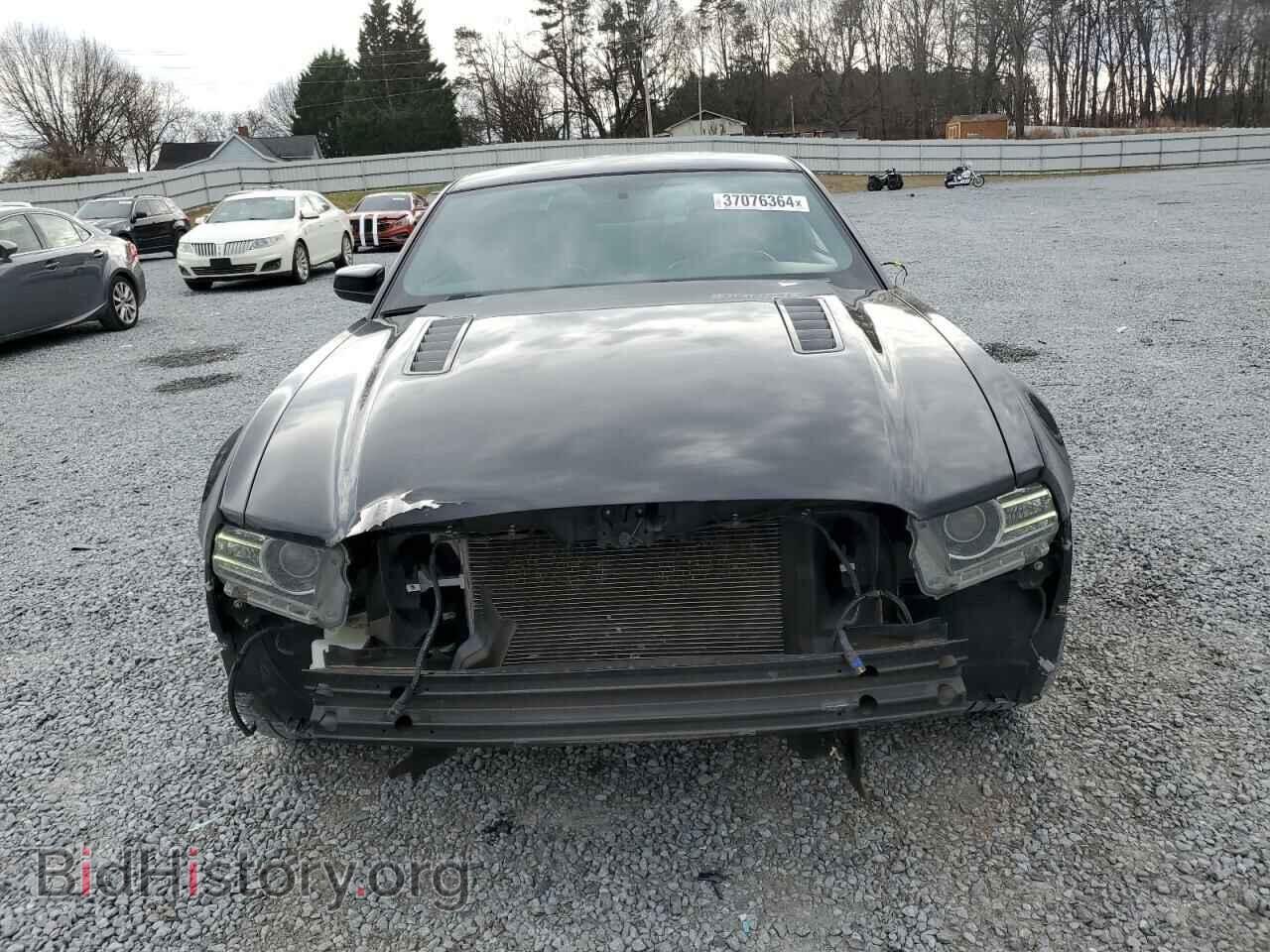 2013 FORD MUSTANG - VIN: 1ZVBP8CF8D5233181 - Фото 5