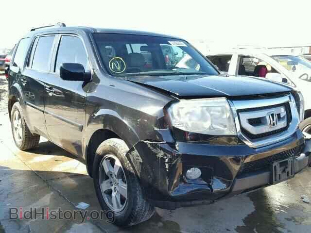 Фотография 5FNYF3H46BB021417 - HONDA PILOT 2011