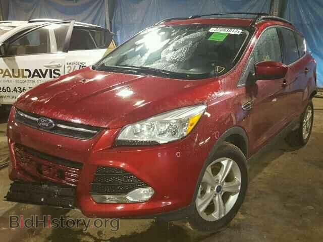 2013 FORD ESCAPE - VIN: 1FMCU0GX0DUA02295 - Фото 2