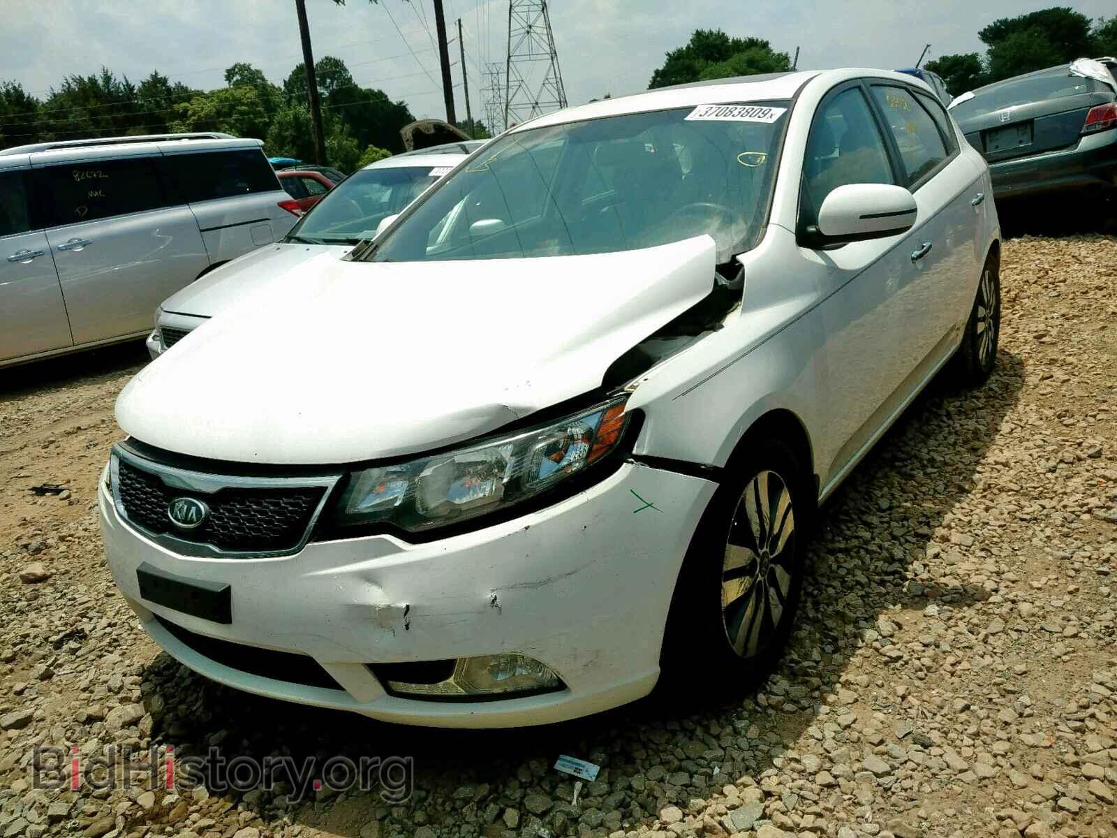2013 KIA FORTE EX - VIN: KNAFU5A22D5697219 - Фото 2