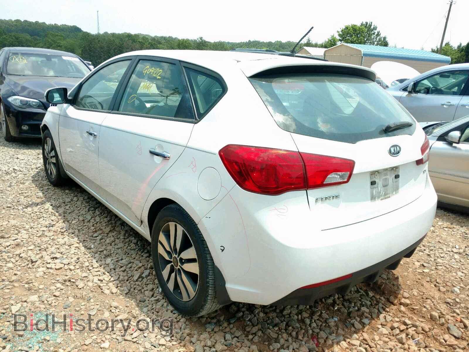 2013 KIA FORTE EX - VIN: KNAFU5A22D5697219 - Фото 3