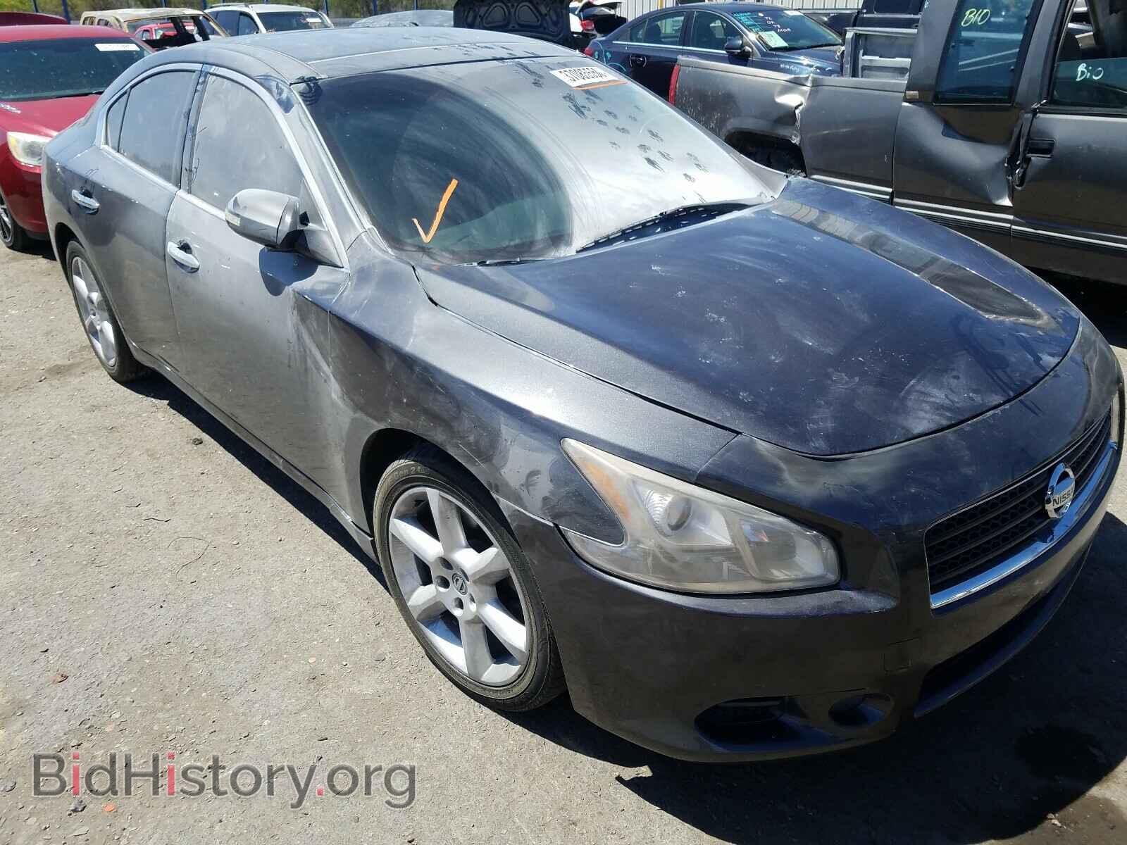 Фотография 1N4AA5AP2DC841466 - NISSAN MAXIMA 2013