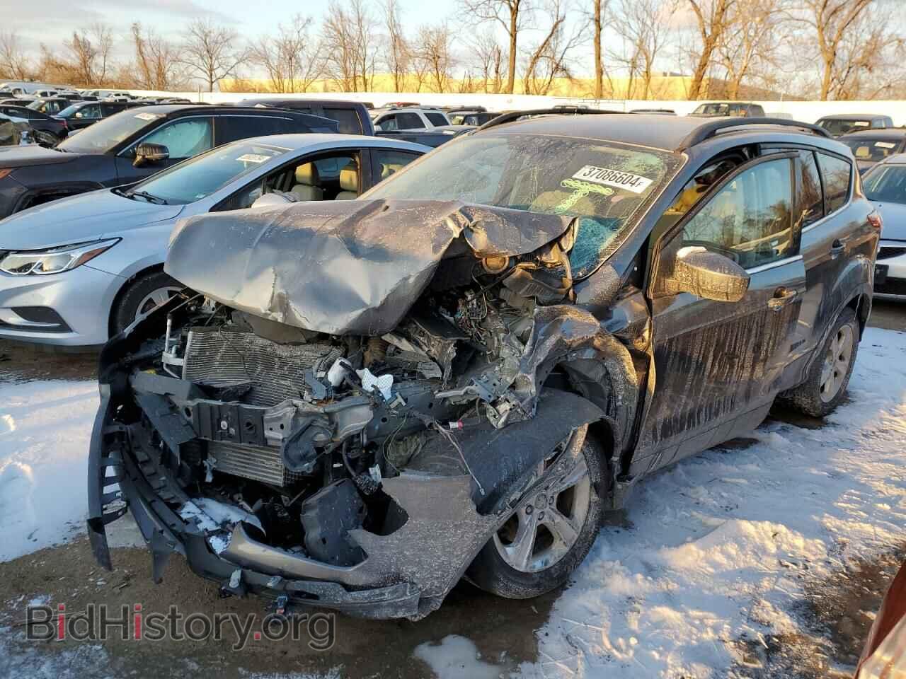 Фотография 1FMCU9G99DUC14313 - FORD ESCAPE 2013