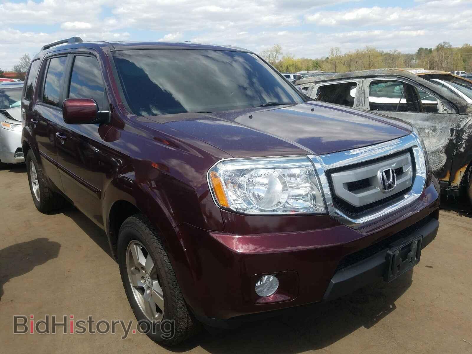 Фотография 5FNYF4H53BB078852 - HONDA PILOT 2011
