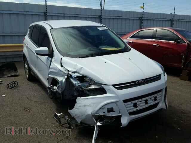 Фотография 1FMCU0G96EUE41262 - FORD ESCAPE 2014