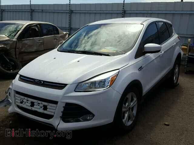 2014 FORD ESCAPE - VIN: 1FMCU0G96EUE41262 - Photo 2