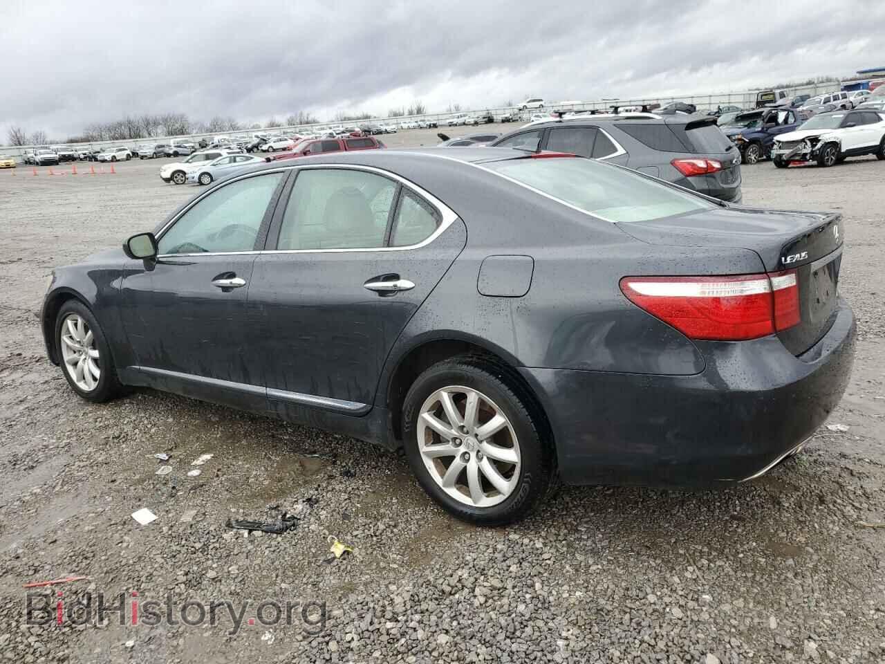 2009 LEXUS LS460 - VIN: JTHCL46F695003989 - Photo 2