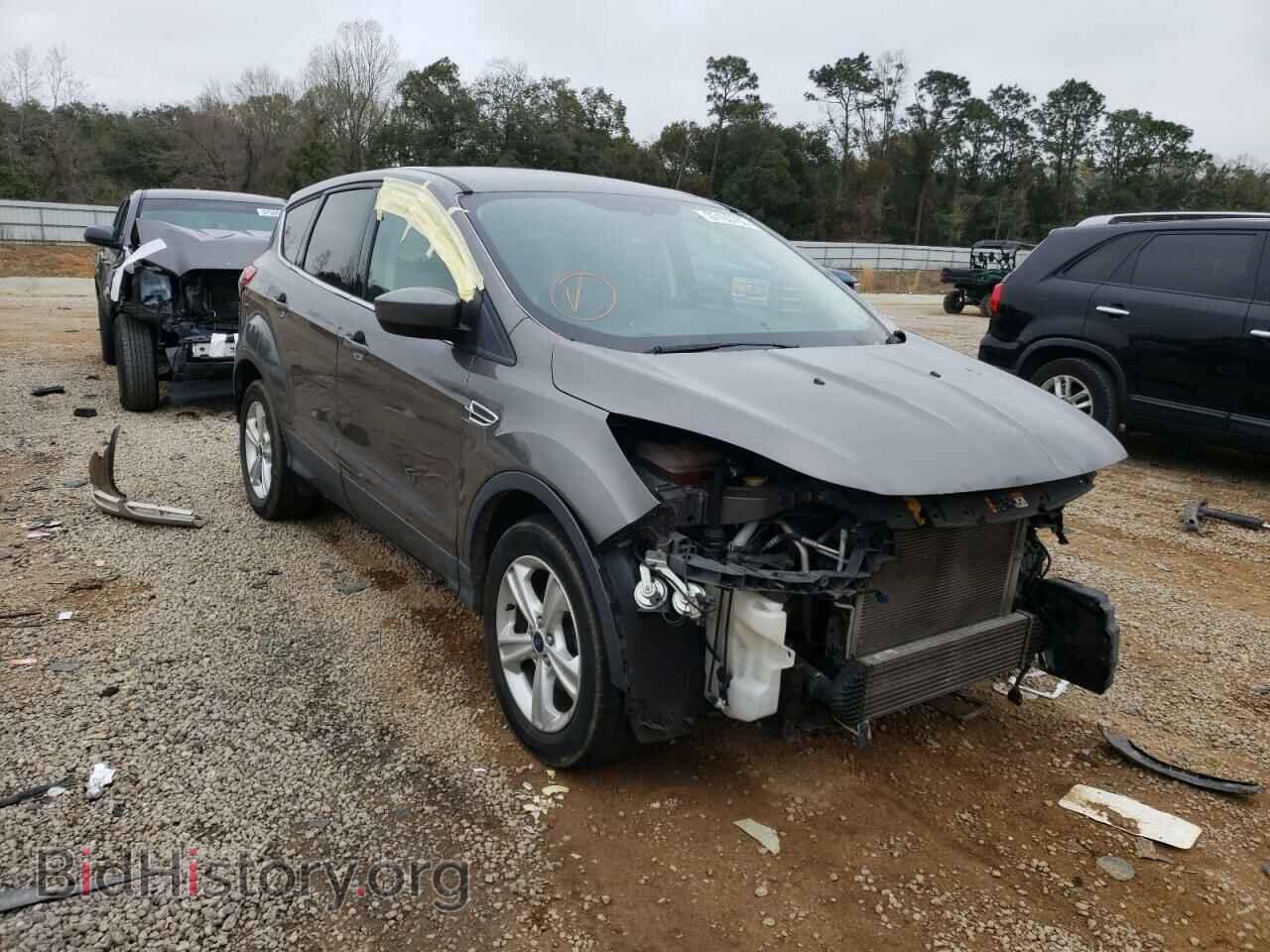 Photo 1FMCU0GX8DUD80042 - FORD ESCAPE 2013