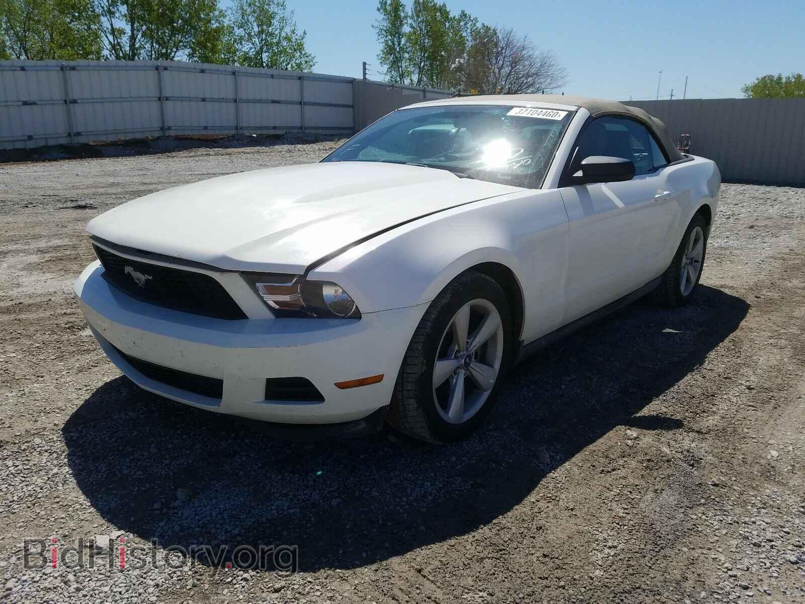 2012 FORD MUSTANG - VIN: 1ZVBP8EMXC5237310 - Фото 2