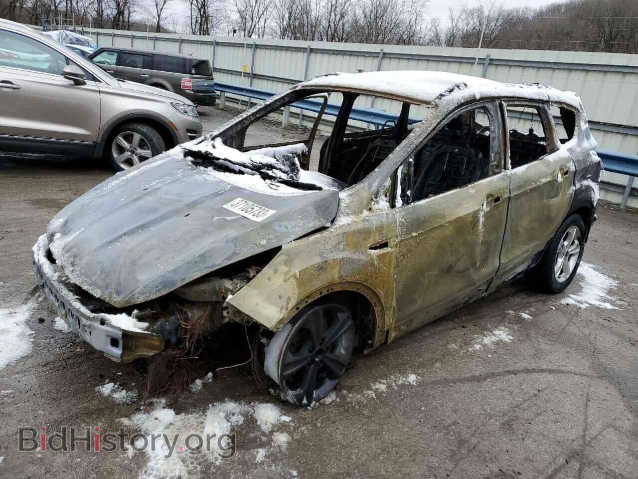 Photo 1FMCU0GX9EUC28739 - FORD ESCAPE 2014