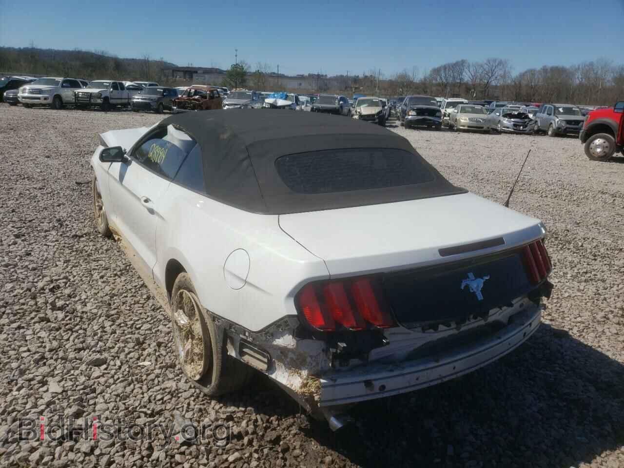 2015 FORD MUSTANG - VIN: 1FATP8EM3F5356267 - Фото 3