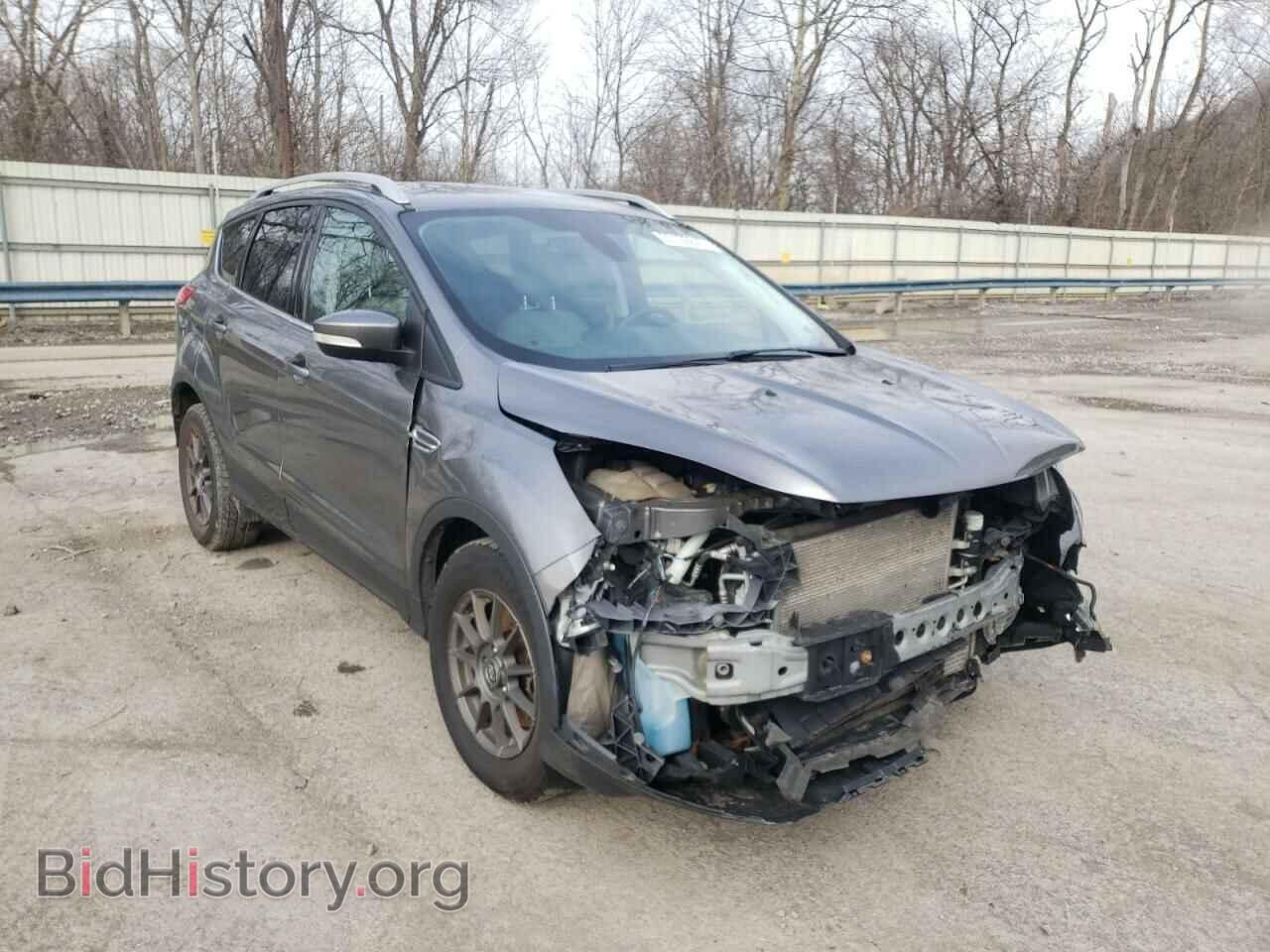 Фотография 1FMCU0J98EUC98954 - FORD ESCAPE 2014