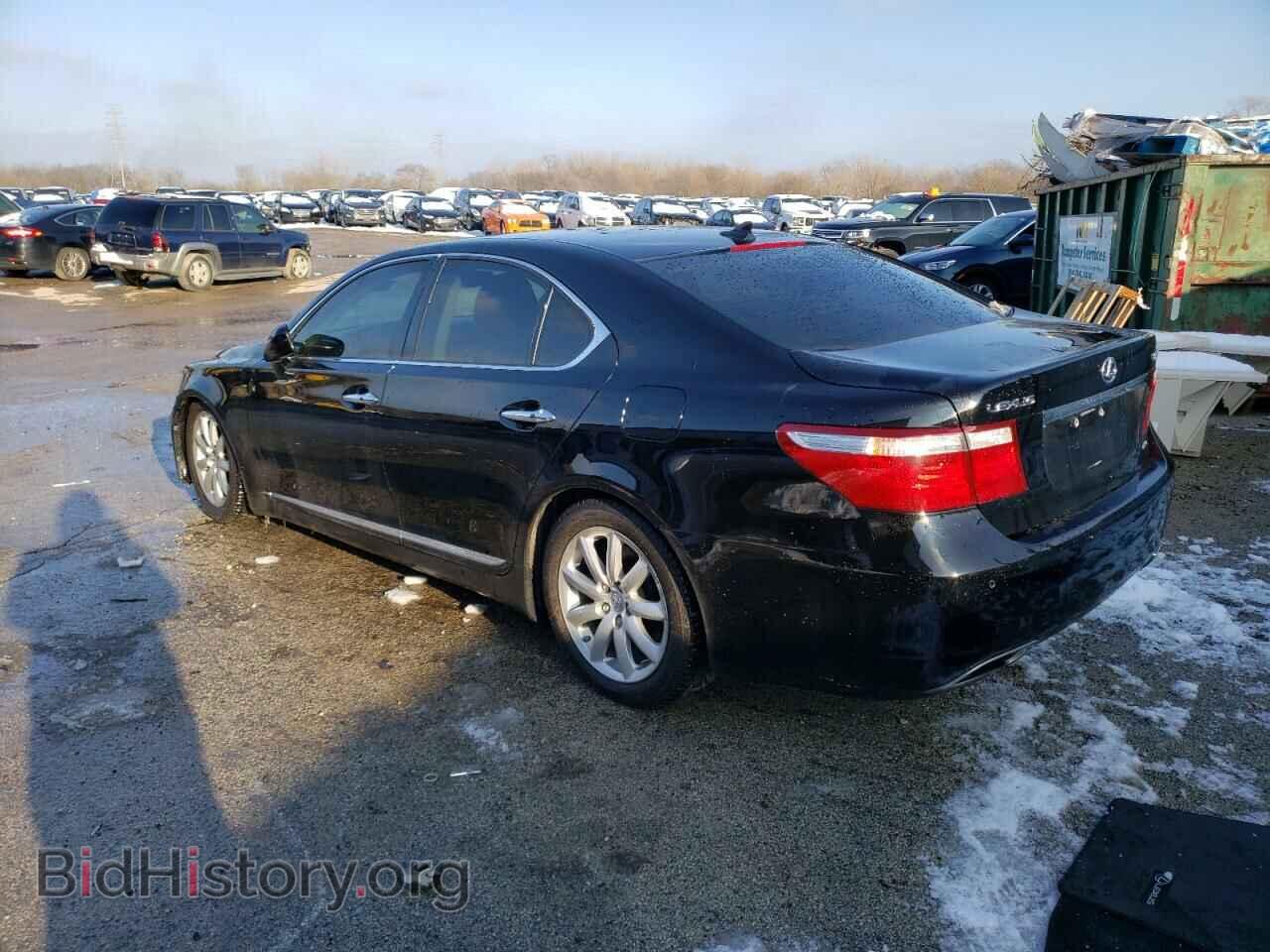 2009 LEXUS LS460 - VIN: JTHCL46F895003802 - Photo 2