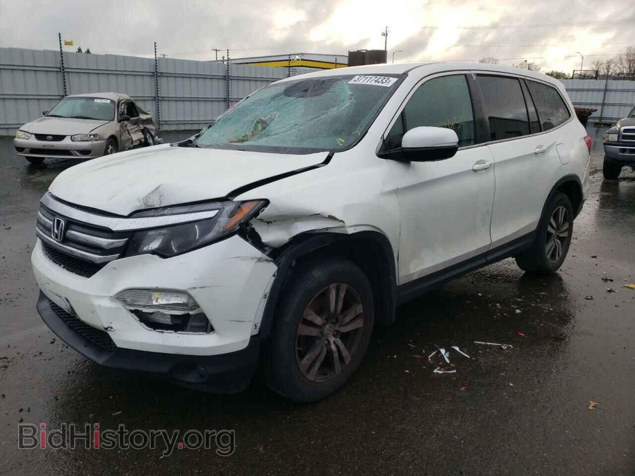 Фотография 5FNYF5H38HB026100 - HONDA PILOT 2017