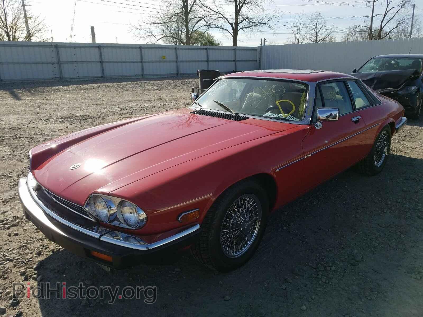 1989 JAGUAR XJS - VIN: SAJTY5848KC165579 - Фото 2