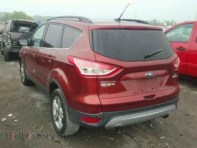2014 FORD ESCAPE - VIN: 1FMCU0GX4EUB79823 - Фото 3