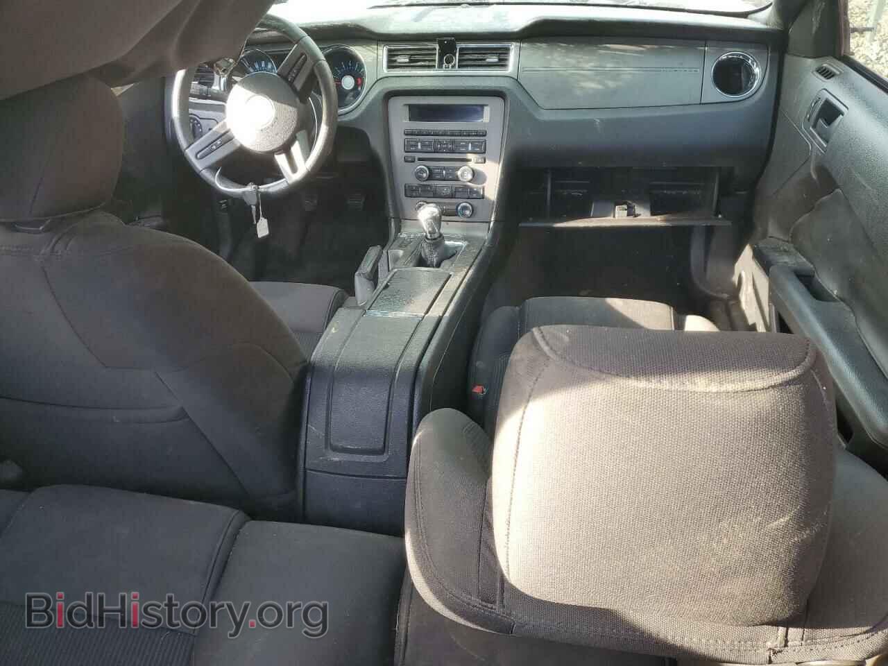 2011 FORD MUSTANG - VIN: 1ZVBP8CF0B5169571 - Фото 8