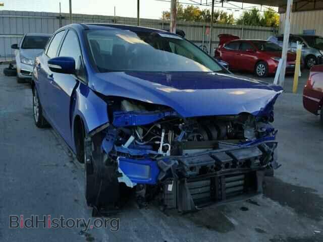 Photo 1FADP3F23DL207905 - FORD FOCUS 2013