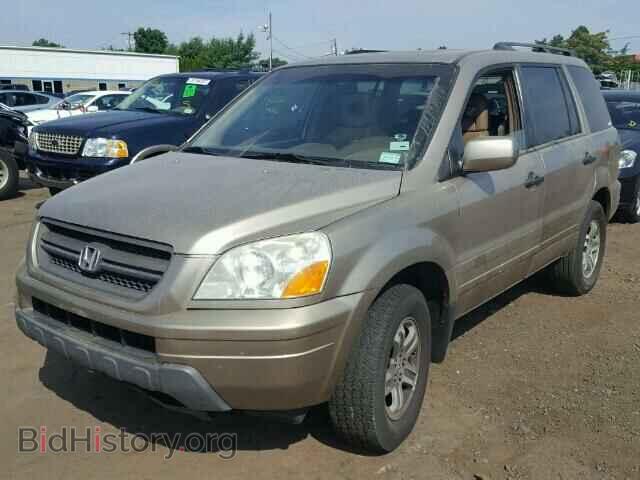 2005 HONDA PILOT - VIN: 5FNYF18595B025463 - Фото 2