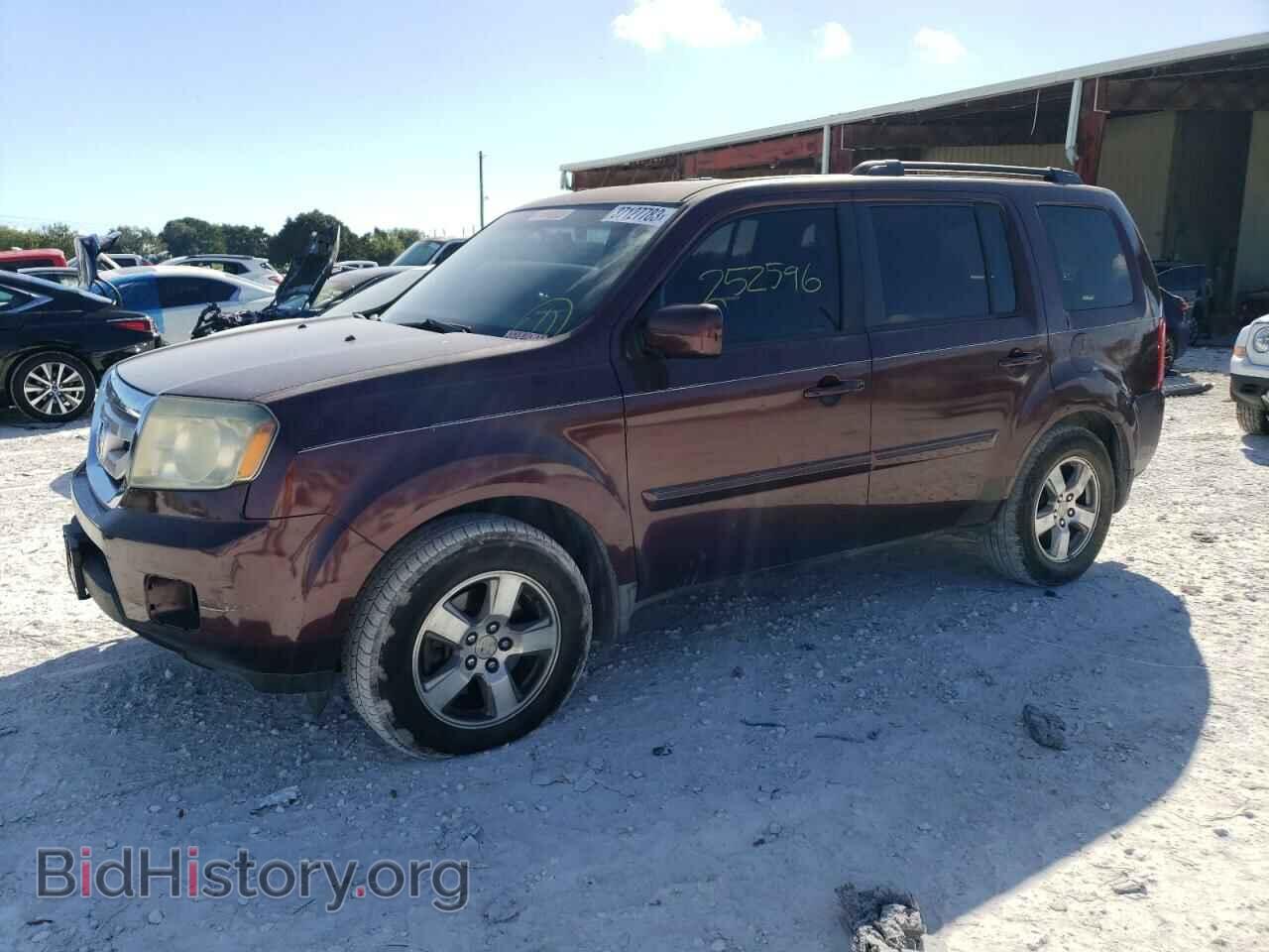 Фотография 5FNYF38589B002385 - HONDA PILOT 2009