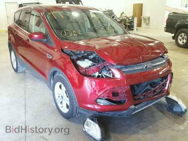 Фотография 1FMCU0GX6EUD41788 - FORD ESCAPE 2014