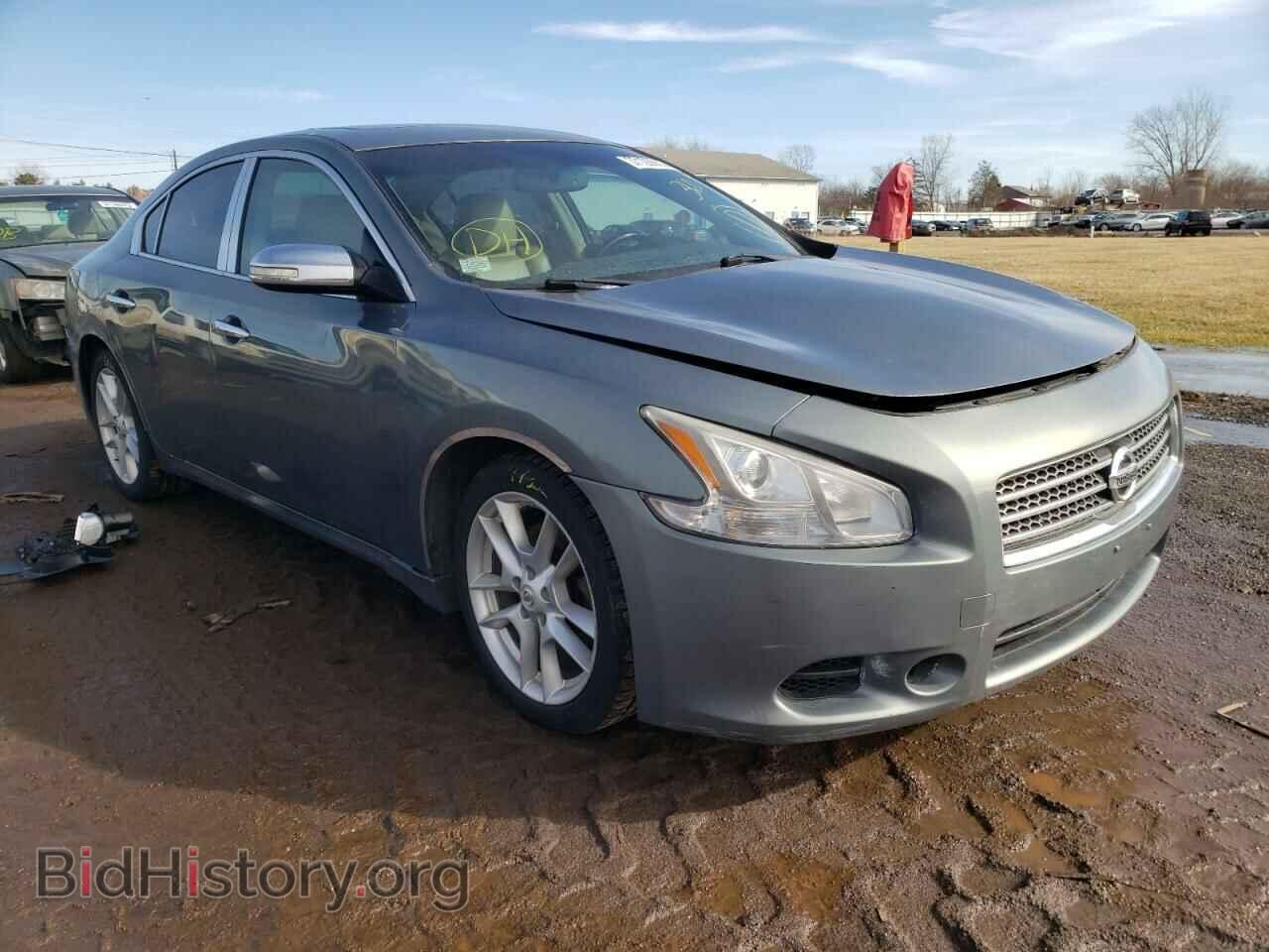 Photo 1N4AA5AP0BC803635 - NISSAN MAXIMA 2011