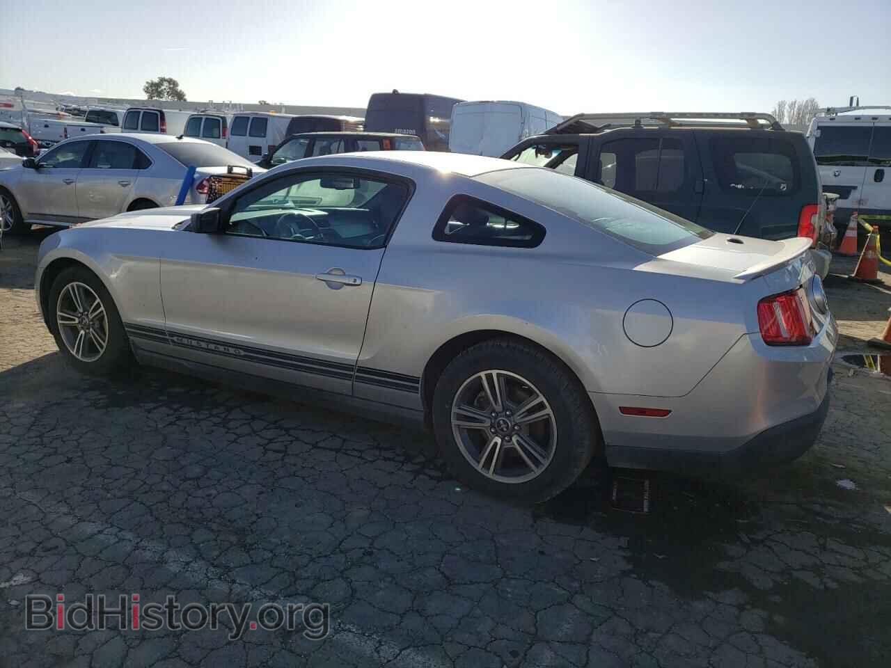 2010 FORD MUSTANG - VIN: 1ZVBP8AN8A5169780 - Фото 2
