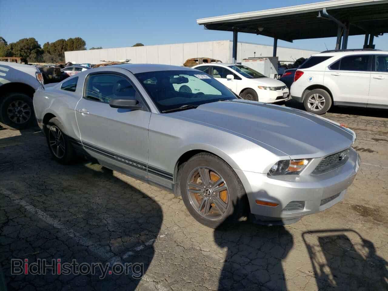2010 FORD MUSTANG - VIN: 1ZVBP8AN8A5169780 - Фото 4