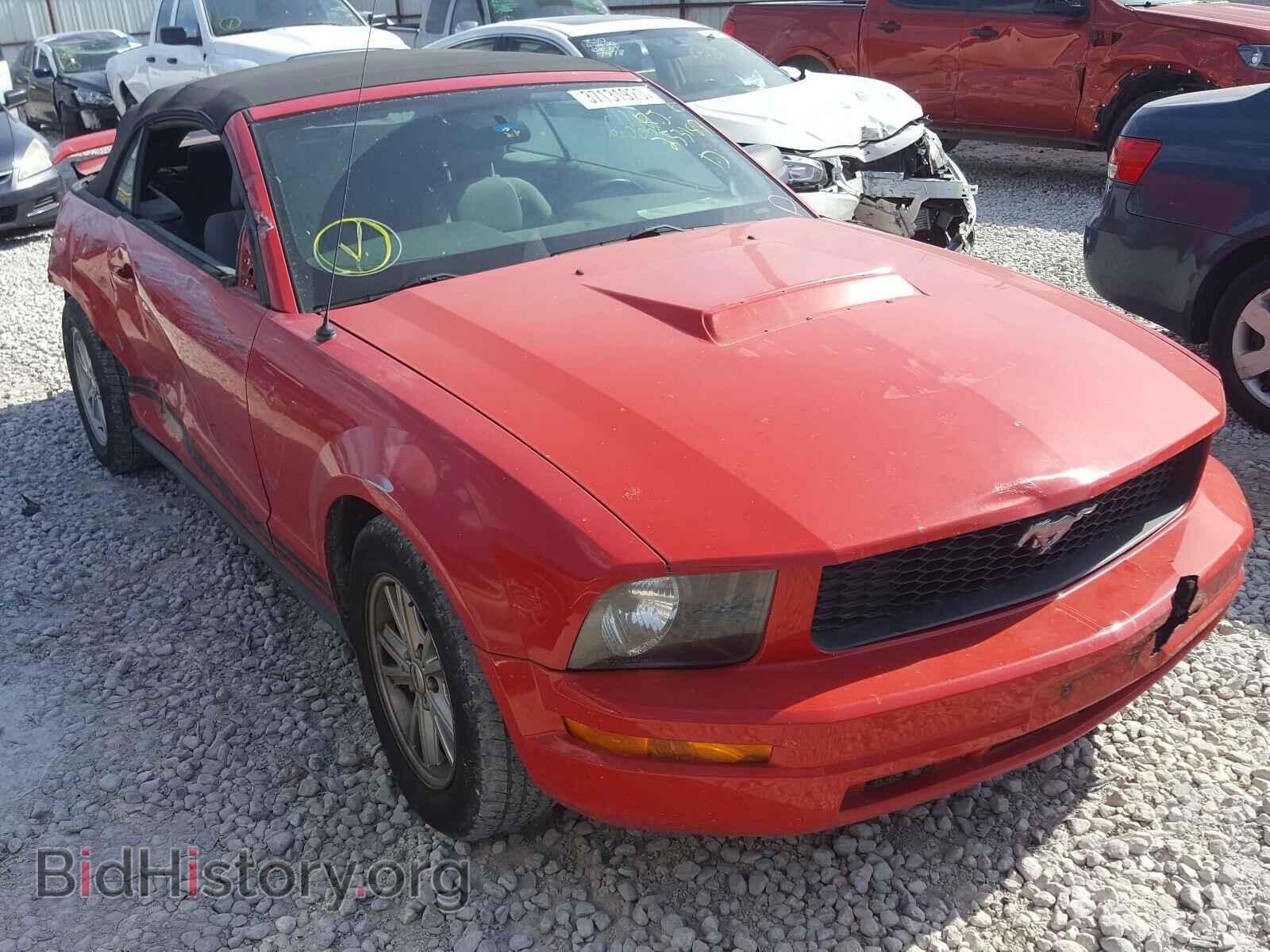 Photo 1ZVFT84N455253187 - FORD MUSTANG 2005
