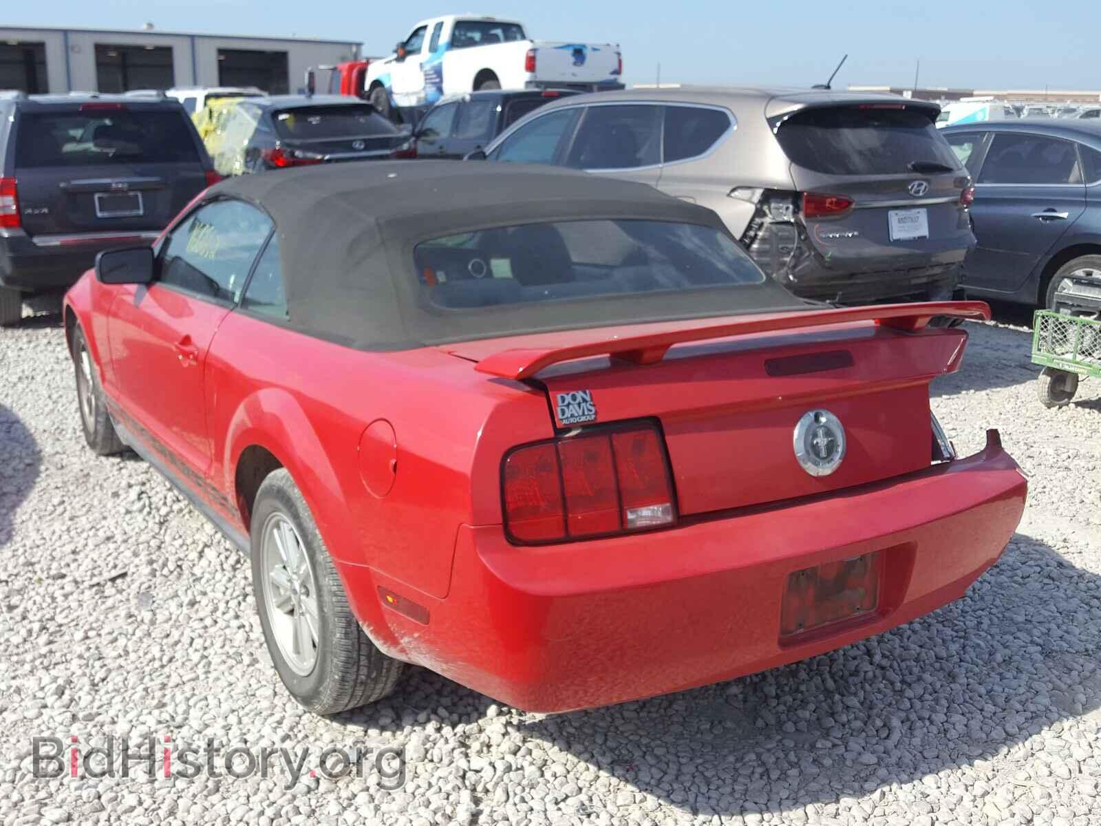 2005 FORD MUSTANG - VIN: 1ZVFT84N455253187 - Фото 3