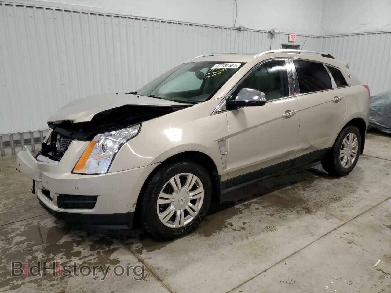 Фотография 3GYFNAE37CS510423 - CADILLAC SRX 2012