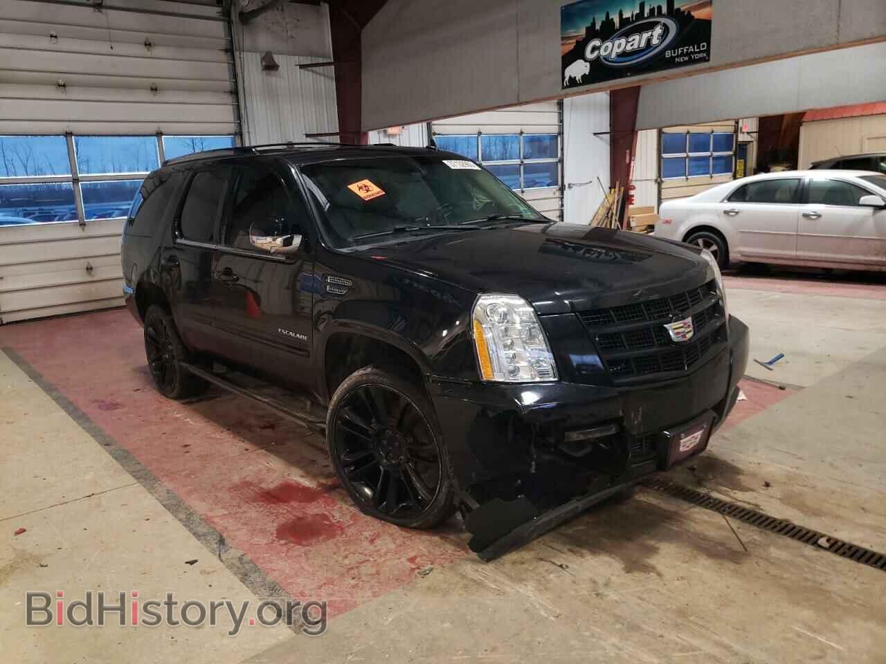 2012 CADILLAC ESCALADE - VIN: 1GYS4CEF2CR201159 - Фото 4