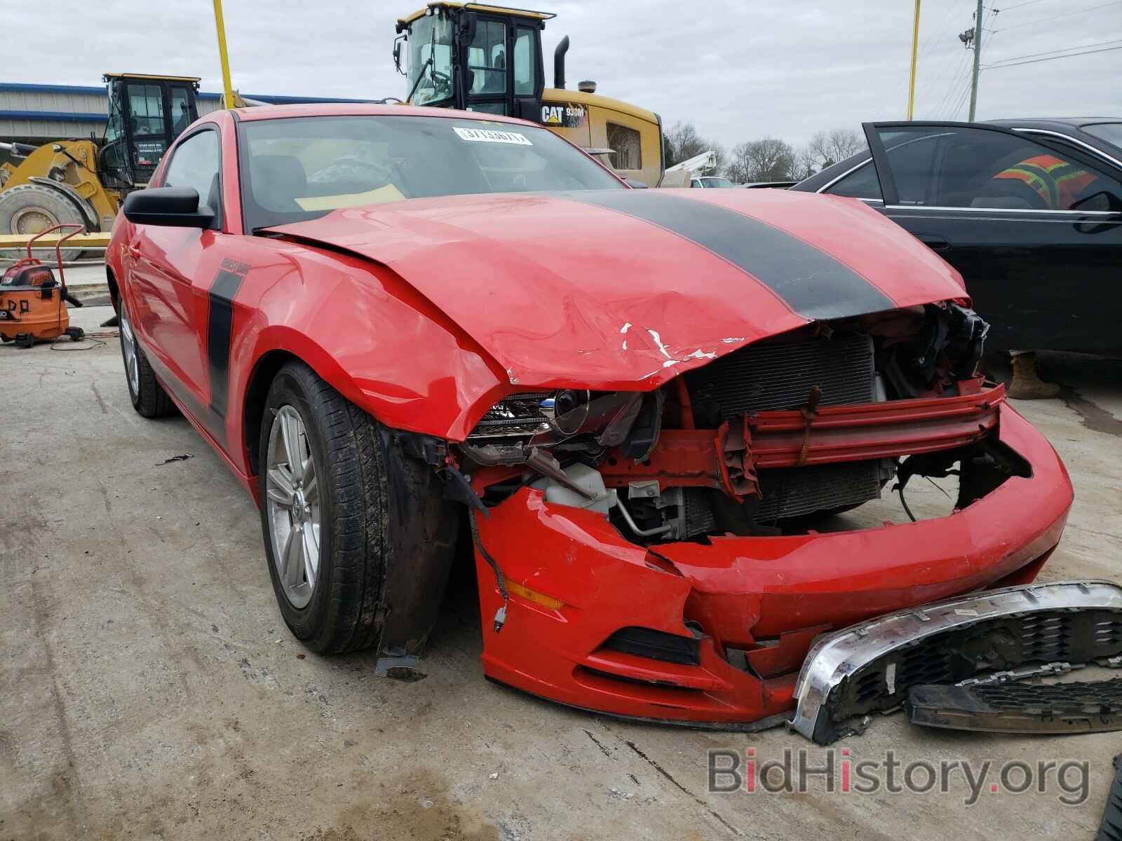 Photo 1ZVBP8AM9D5203270 - FORD MUSTANG 2013
