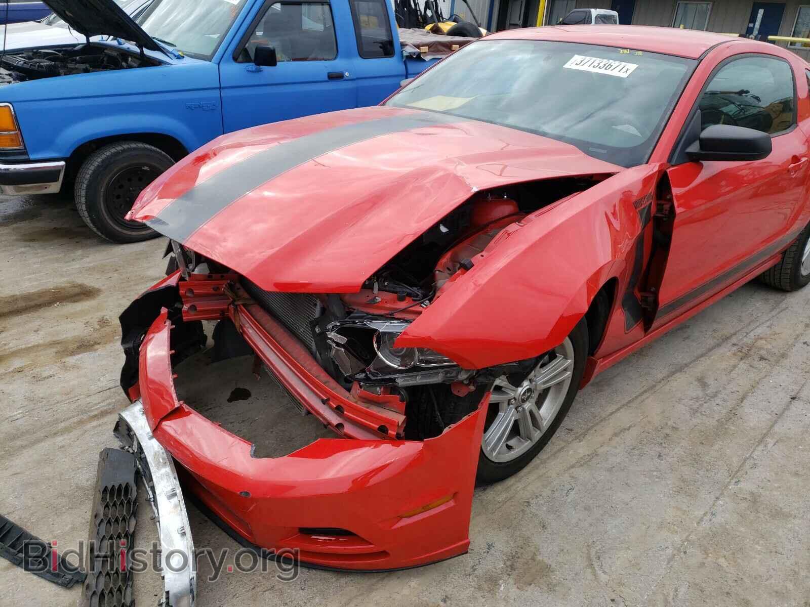 2013 FORD MUSTANG - VIN: 1ZVBP8AM9D5203270 - Фото 9