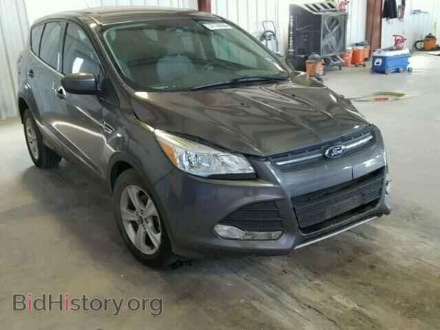 Фотография 1FMCU0GX2EUB61871 - FORD ESCAPE 2014