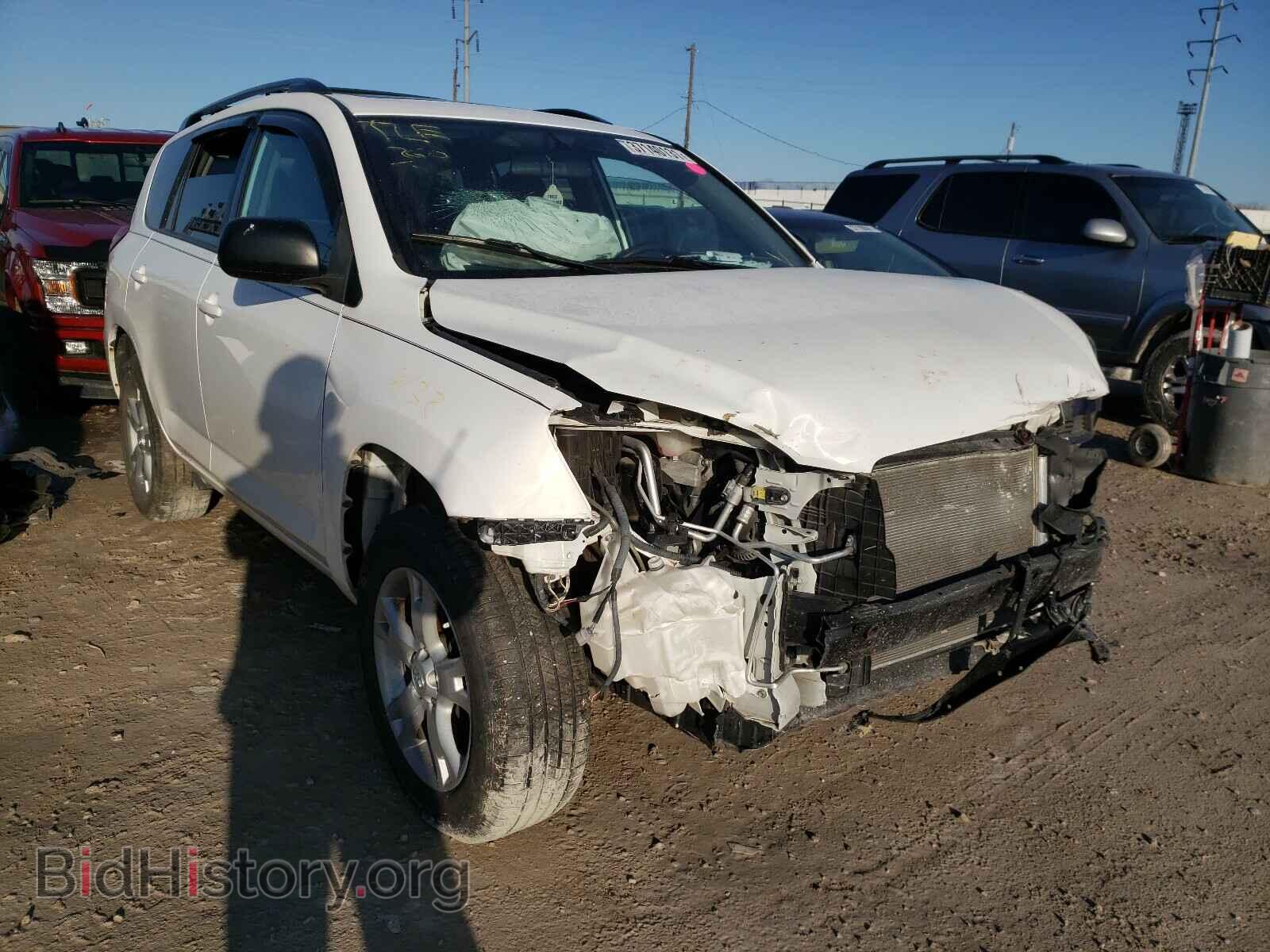 Фотография 2T3BF4DV9CW213906 - TOYOTA RAV4 2012