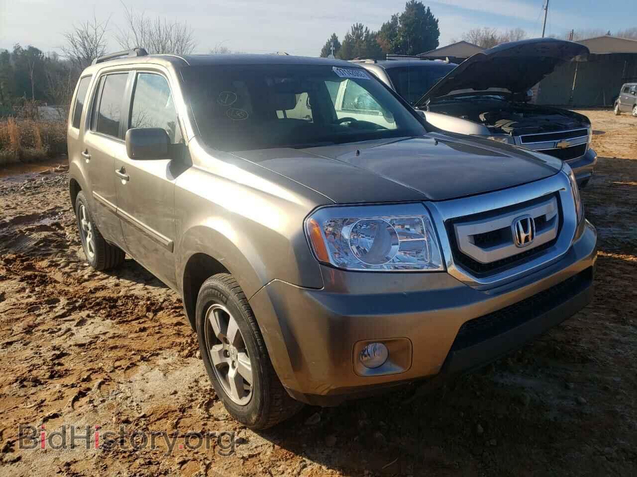 Фотография 5FNYF3H72BB009839 - HONDA PILOT 2011