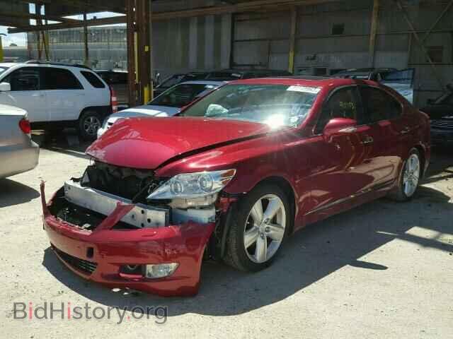 2010 LEXUS LS460 - VIN: JTHBL5EF6A5096164 - Фото 2