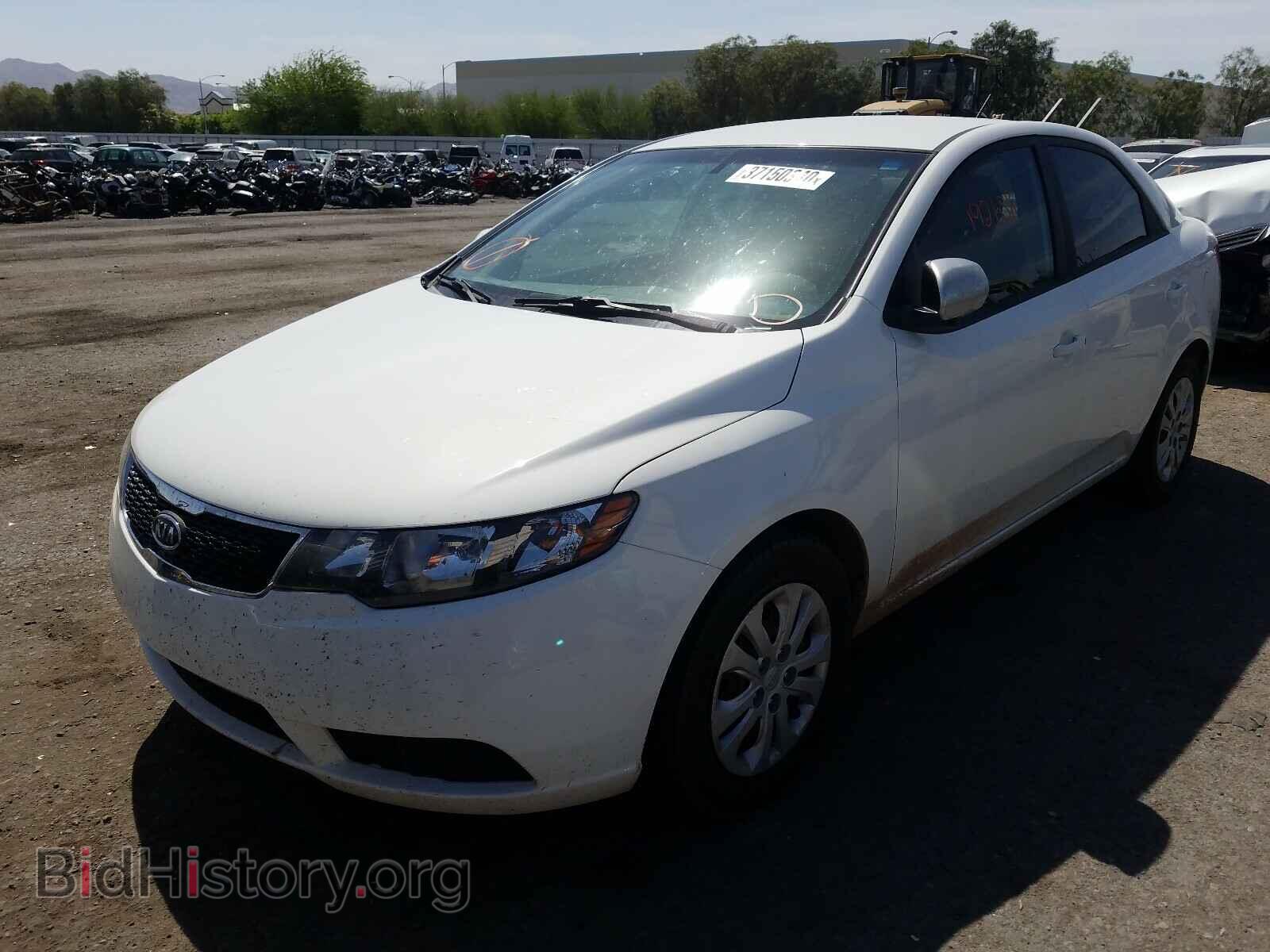 2011 KIA FORTE - VIN: KNAFT4A28B5324714 - Фото 2