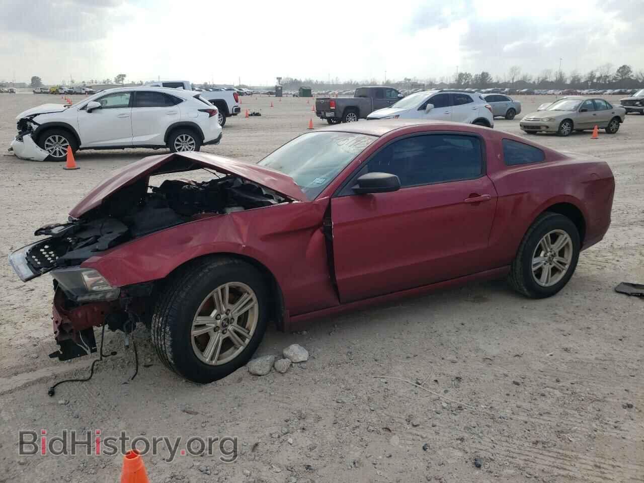 Photo 1ZVBP8AM4E5309403 - FORD MUSTANG 2014
