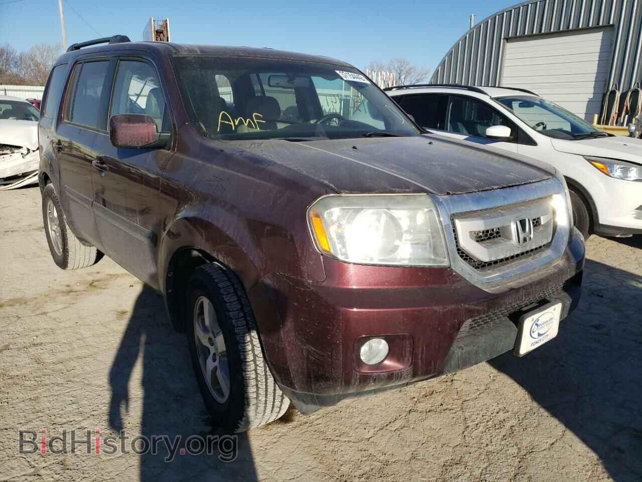 Фотография 5FNYF3H65BB030370 - HONDA PILOT 2011