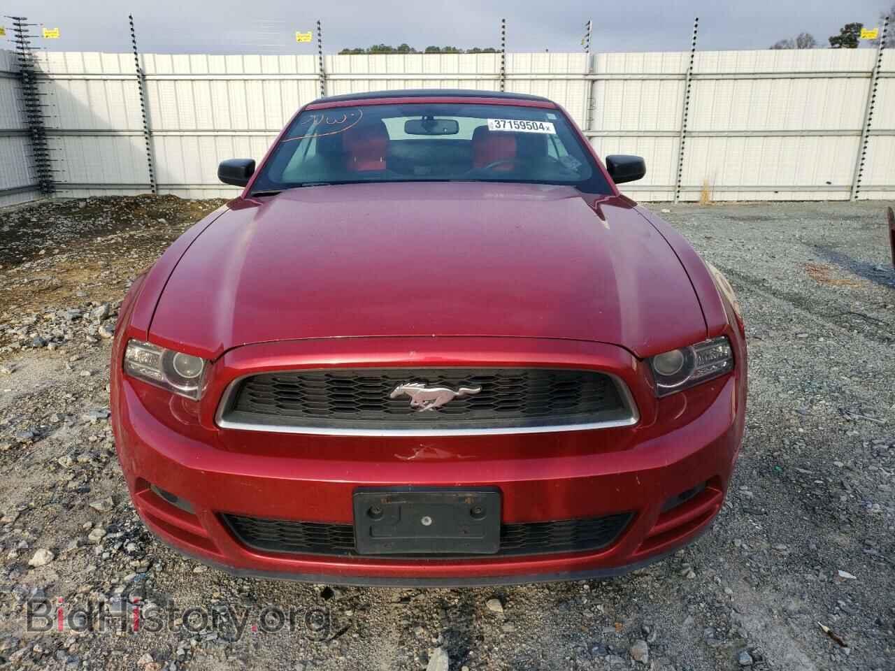 2013 FORD ALL Models - VIN: 1ZVBP8EM4D5215711 - Фото 5