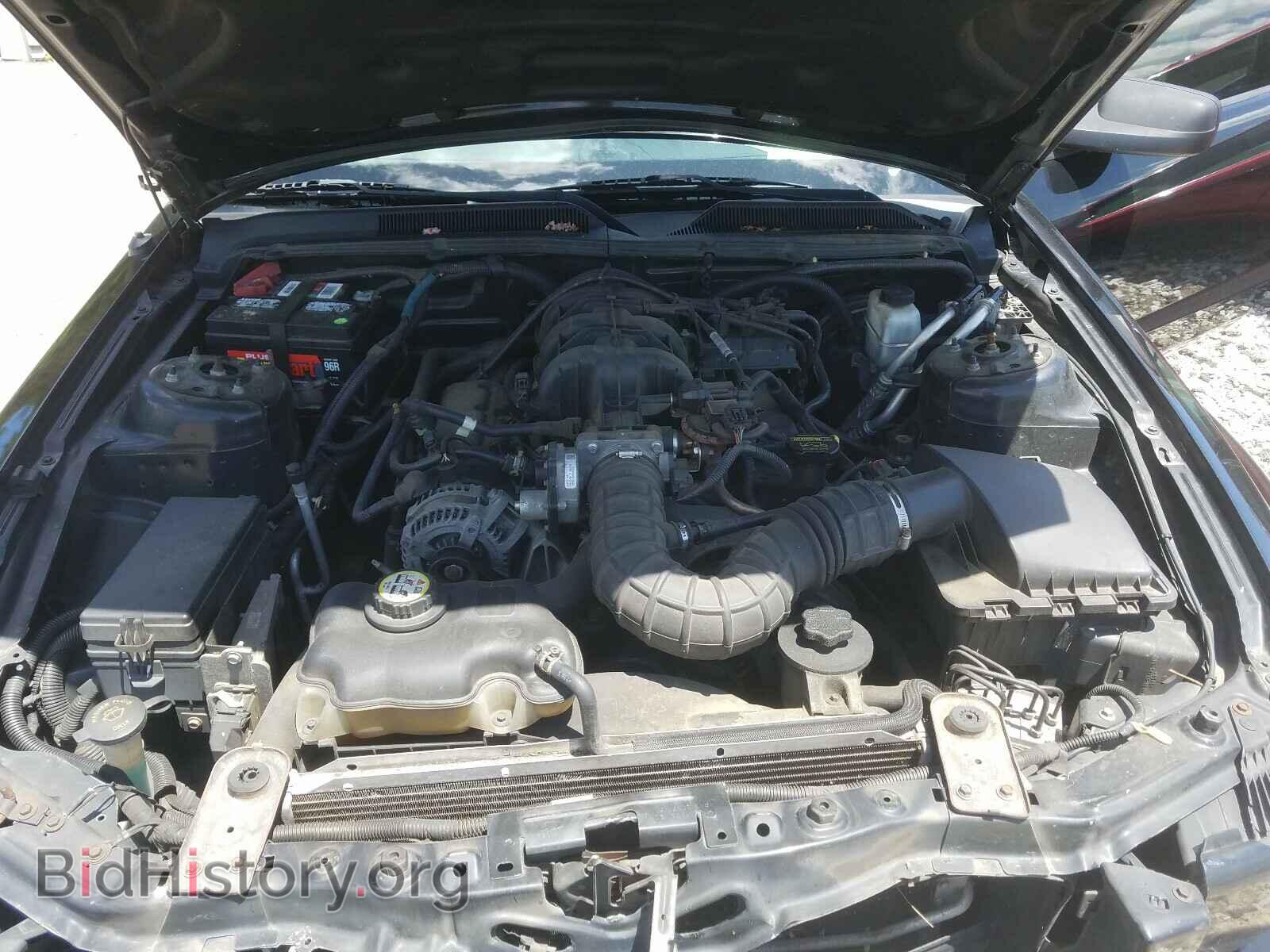 2009 FORD MUSTANG - VIN: 1ZVHT80N195112078 - Фото 7