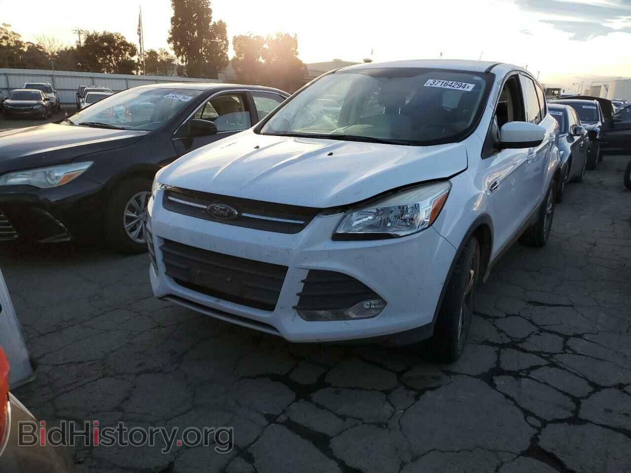 Фотография 1FMCU9GX8EUC38568 - FORD ESCAPE 2014
