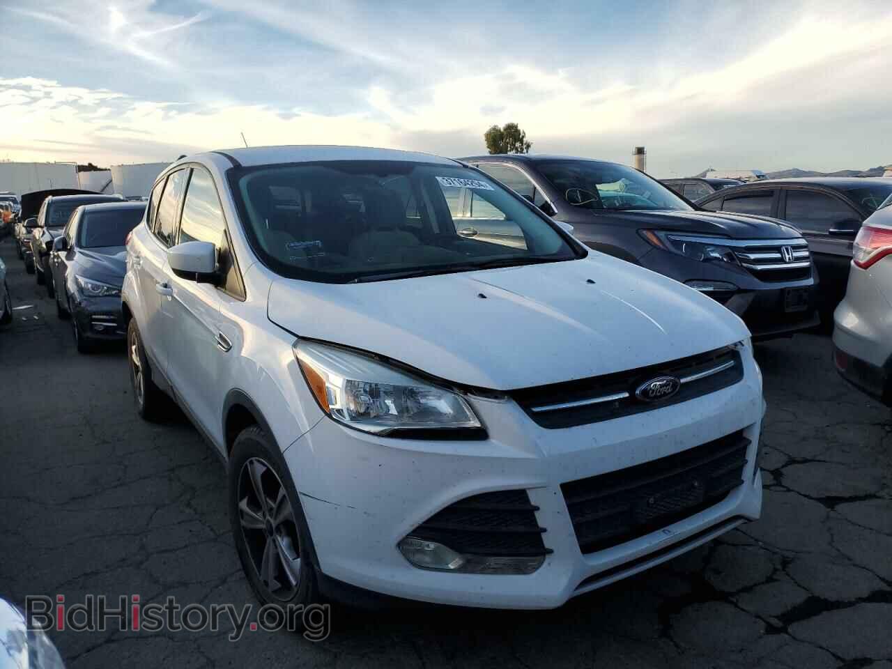 2014 FORD ESCAPE - VIN: 1FMCU9GX8EUC38568 - Фото 4