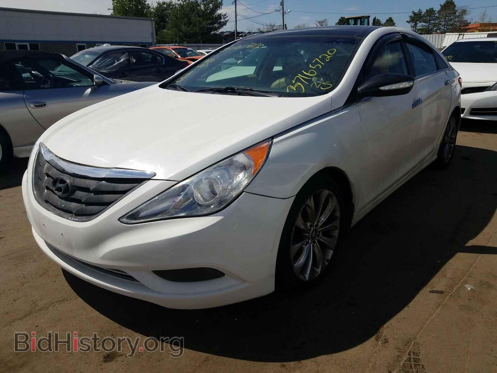 2012 HYUNDAI SONATA - VIN: 5NPEC4AB1CH498365 - Фото 2