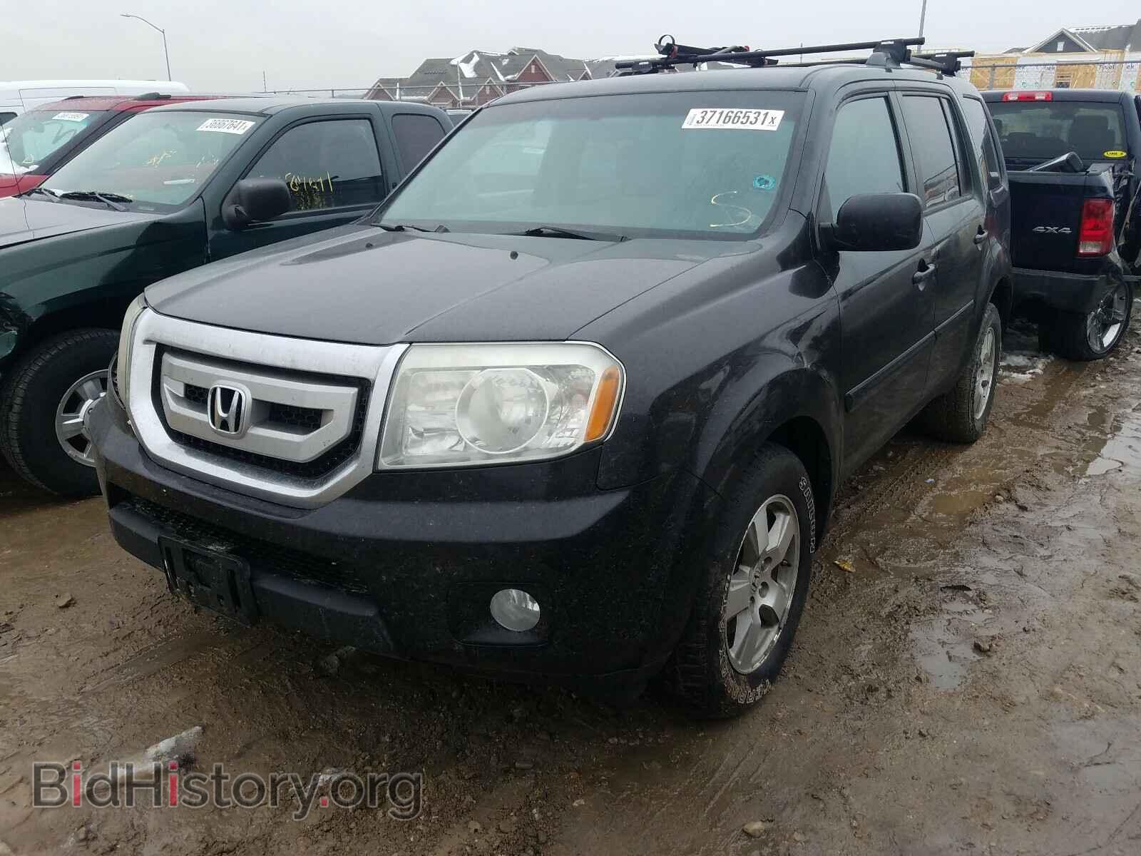 2011 HONDA PILOT - VIN: 5FNYF4H45BB028932 - Фото 2