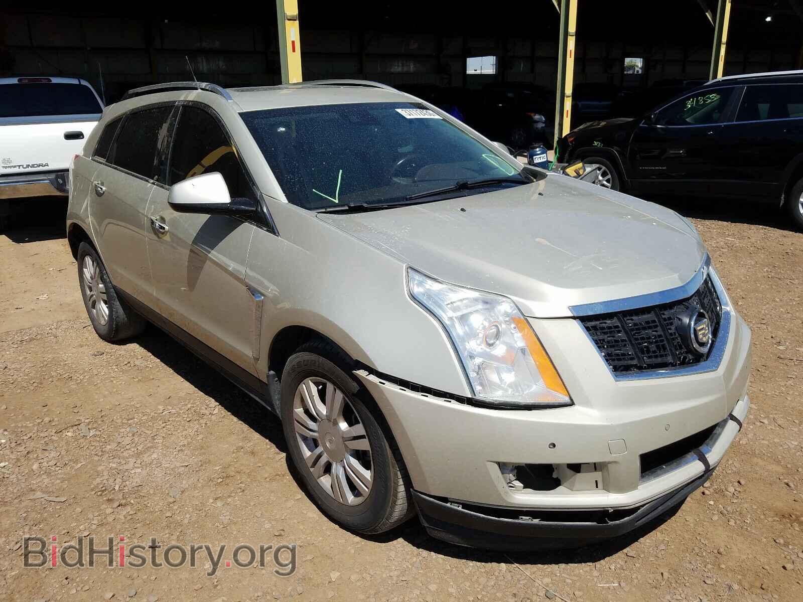 Фотография 3GYFNCE37DS580744 - CADILLAC SRX 2013